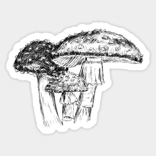 Mushrooms Image Sticker